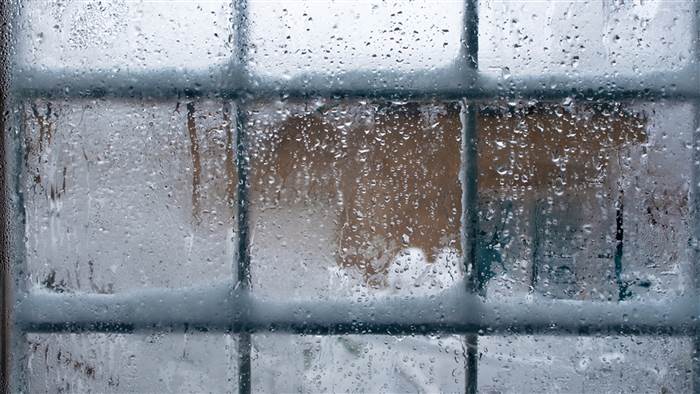 Condensation and Ice Buildup on Windows in Extreme Weather